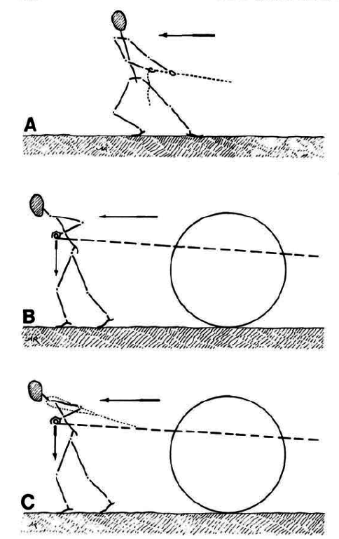 А вот эксперименты с участием людей проводились между 1882 и 1887 годом в сельскохозяйственной школе Гран-Жуан (Grand-Jouan). В опыте принимали участие студенты-добровольцы мужского пола. Объектом исследования было определение максимальной эффективности как функции метода, который использовали рабочие для того, чтобы тянуть или толкать груз горизонтально. Иными словами, это было исследованием человеческого фактора, а сравнение индивидуальных и групповых результатов было второстепенным.