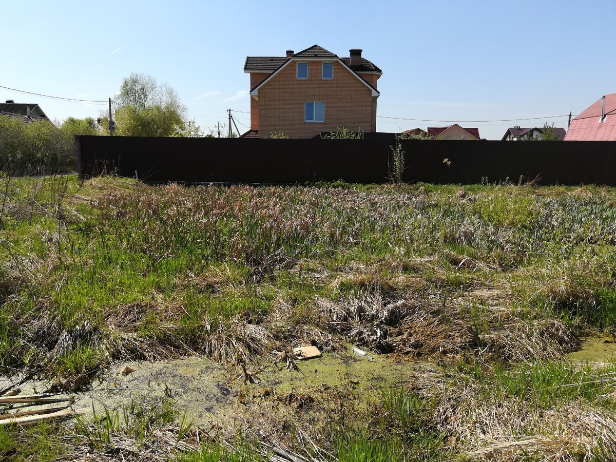 Здесь плавали утки