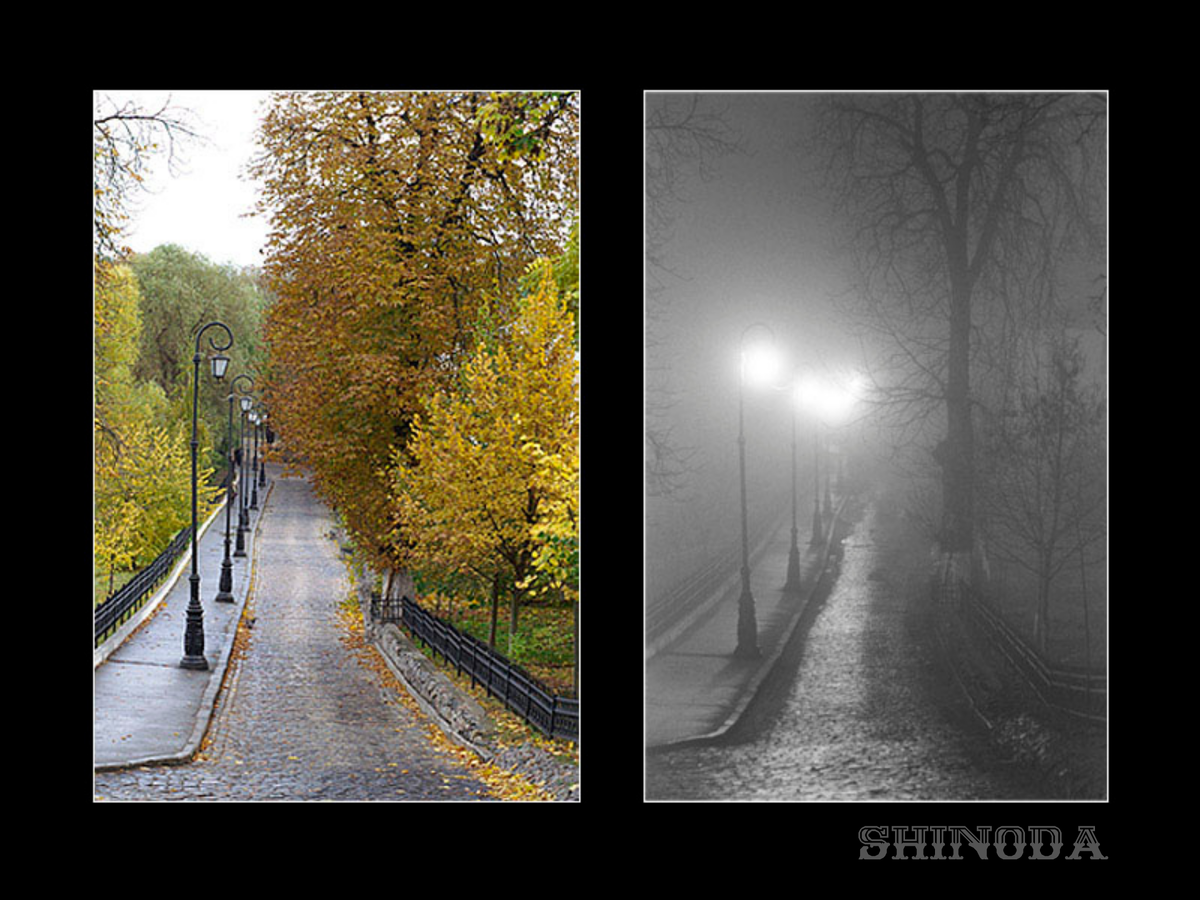 Источник: Яндекс Картинки