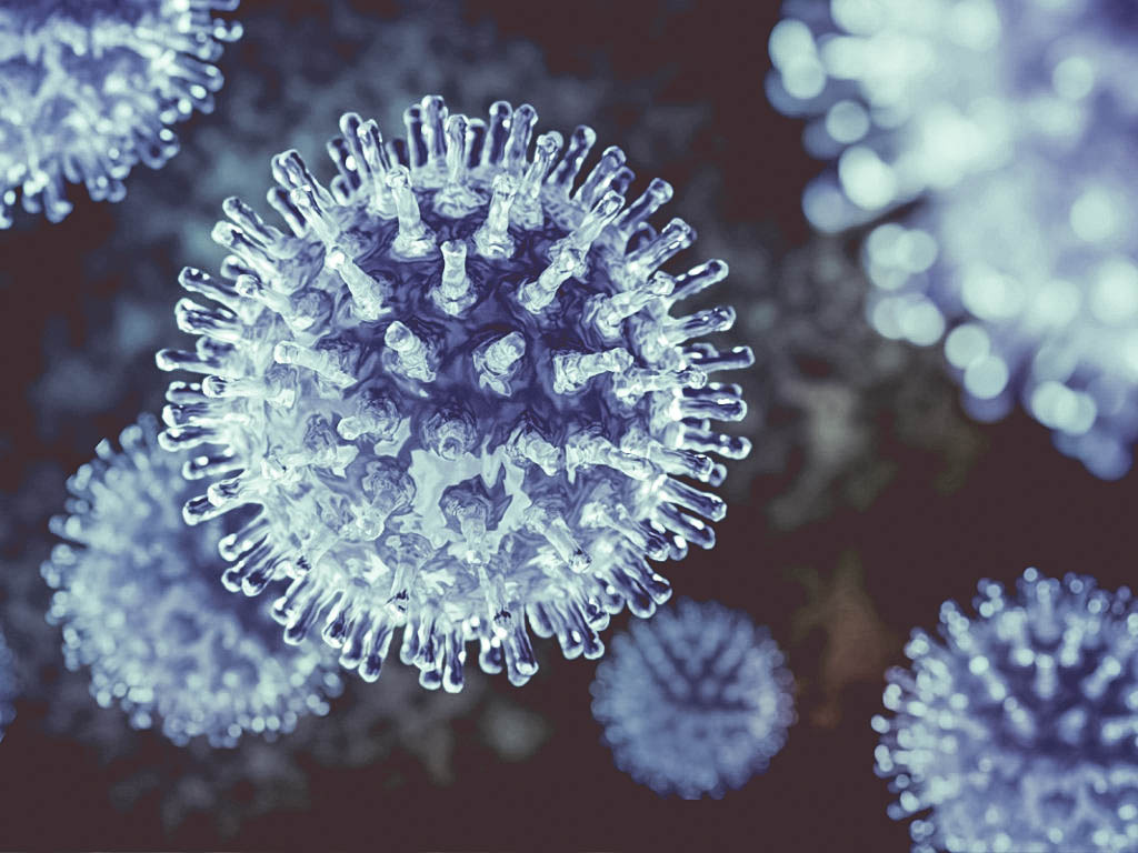 Вирус ( похож на массажный мячик : )