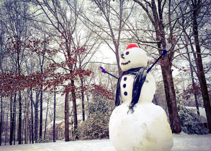 Источник: pixabay.com