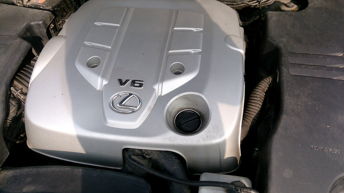 Фото с просторов интернета. 