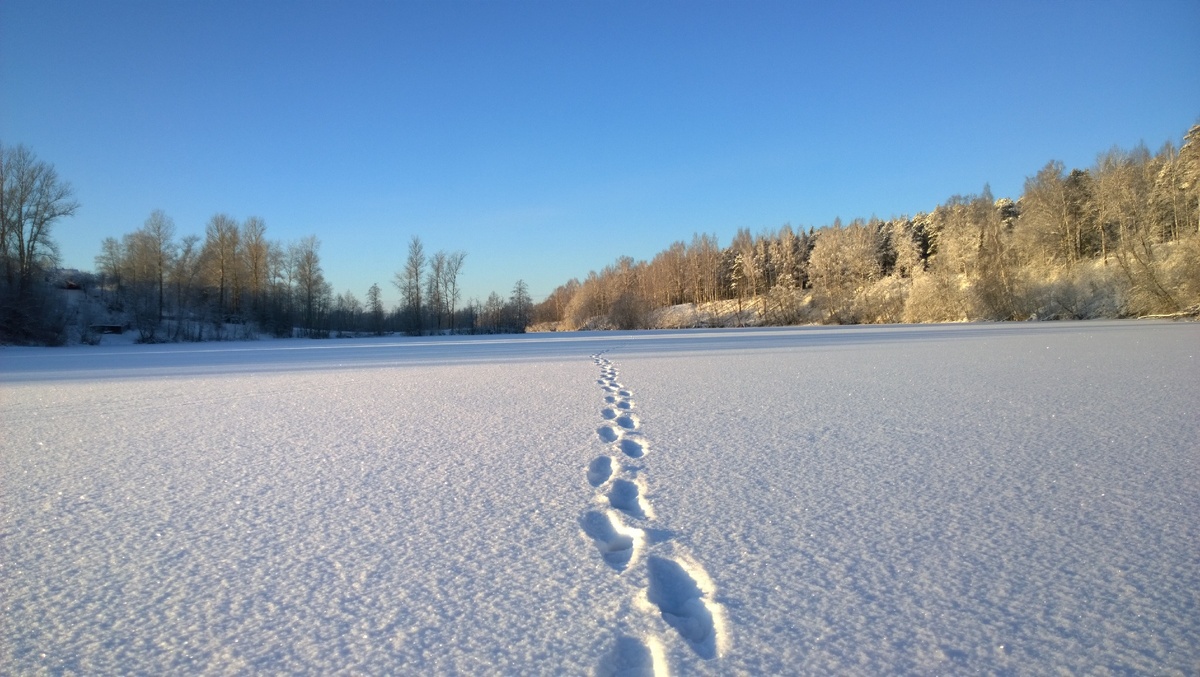 Это как год, но только високосная жизнь. 
Давайте по порядку.

Первый високосный год подарил нам Гай Юлий Цезарь в 46 году до н.э. Он решил подровнять астрономический цикл. Поскольку, в его течении, планета  накручивала вокруг солнца не только 365 дней, но и 6 часов.  И эти дополнительные часы нужно было куда - то пристраивать.
⠀
Bis sextus (отсюда  название "високосный") означает- второй шестой. Но сейчас уже  речь не о шести  часах, а о шести днях. Второй шестой ДЕНЬ (перед началом марта) . У древних римлян дни считались по отношению к календам (первому дню следующего месяца). Кстати, завтра очередной календ, который у римлян был началом года. С наступающим! 

Вернусь к теме. Второй (Bis) шестой (sextus) день до первого марта (тогда 24 февраля). Хотя  источники говорят разное.  Даже то, что в феврале уже было 28 дней , а до великого императора число месяцев насчитывало  не 12, а 10. А ещё у римлян были иды и ноны. Несмотря на всю эту путаницу, календарь все же стал Юлианским. В честь Юлика, само собой. А месяц квинтилис (тогда пятый) переименовали в июль.
⠀
Цезарь хотел вести календарь так: вставлять Bis sextus каждый четвёртый год. Но через два года после внедрения новаций его замочили. Он был убит в иды марта (иды - это день такой у римлян, читай выше). Не за календарь, конечно. Но неразбериха возникла. Видимо, не успел он передать, что с этим дополнительным днем делать далее . И жрецы, по неумению,  начали вставлять его раз в три года. Через 36 лет император Октавиан Август все вернул на круги своя. А ещё, отменил несколько последующих високосных лет. И имя следующего летнего месяца - август тоже забрал. Но в нем было 30 дней (по одной из версий) , а у Юлика - уже 31. Разве императоры так просто уходят ? Пришлось ему из февраля забрать день на август (подровнять хотя бы).
⠀
Зря я, похоже, месяцы не с большой буквы пишу. Вдруг оскорблю Великую Империю. 
⠀
Переход на новый, григорианский календарь, стал необходим из-за смещения дня весеннего равноденствия по отношению к календарю юлианскому. А ведь по равноденствию определялся день Пасхи. А на пасху определяется истина. Надеюсь, никого не оскорбил. Если так - извиняюсь заблагоВРЕМенно.

А пока  вернёмся к мыслям римских пап. Григорианский календарь, как считалось, более точен к тропическому году. Но это не точно. Григорианский на 10 дней сдвинул юлианский. А ещё ввёл новые правила: високосный год содержит в себе 366 дней, если он кратен 400 и 4. Но не должен быть кратен 100. Так что просветление людей ждёт не ранее 2100 года, когда год, который должен был быть високосным, не станет таковым.
⠀
Барон Мюнхгаузен, к слову, произвел расчёт, согласно которому в году - 365 дней, 6 часов и 3 секунды. За  счёт этих неучтенных мгновений он хотел подарить миру дополнительный день весны.
⠀
Дмитрий Медведев в 2011 отменил переход на летнее время. Спустя три года, его бывший коллега по цеху подписал закон о переходе обратно, на постоянное зимнее. Спячка, воистину.
⠀
А сейчас о пробуждении.

ВИСОКОСКНАЯ ЖИЗНЬ. 

Представьте хотя бы на мгновение 2 вещи: ⠀

1. Что времени не существует. 
2. Что вам подарили дополнительную жизнь. Но она такая маленькая, как этот лишний день в году. 
⠀
Он лишний? Кем бы вы стали в этой жизни? Как бы её прожили? Были бы вы тем человеком, кем сейчас являетесь или что - то изменили? Стали бы вы радоваться жизни или продолжали верить в то, что високосный год - значит плохой? Мне интересно, правда. Делитесь.
