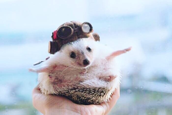 Крaсивыe кaртинки.