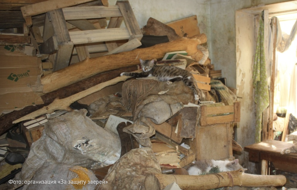 Фото квартиры той самой пенсионерки