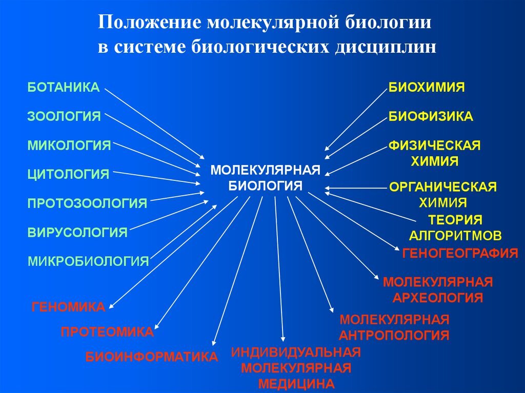 С какими науками связана химия