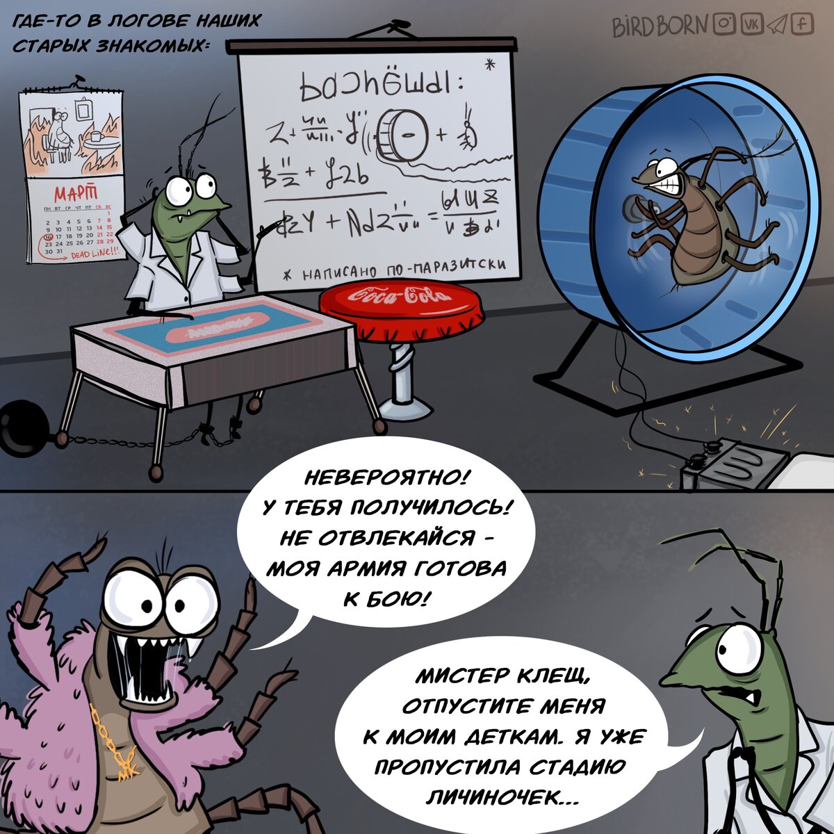 #животные 