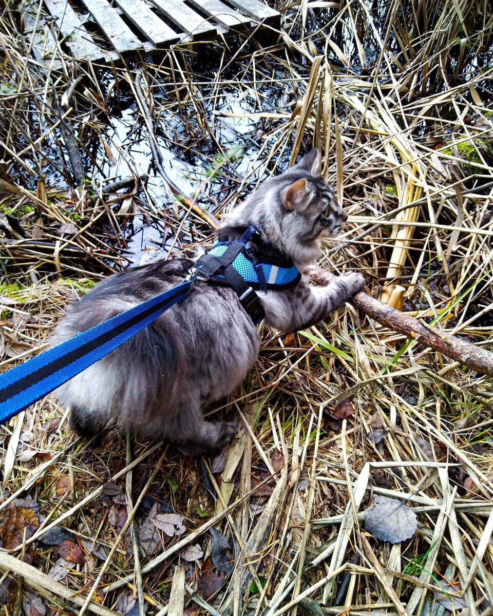 Фото автора.