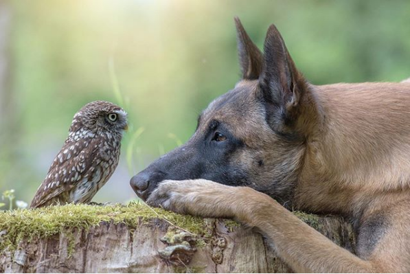 @Tanja Brandt / instagram
