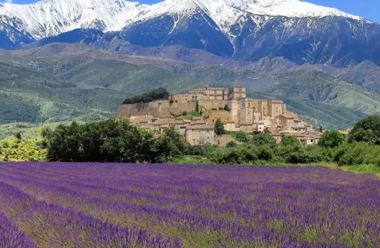 Прованс, Франция. Источник изображений: Яндекс. Картинки