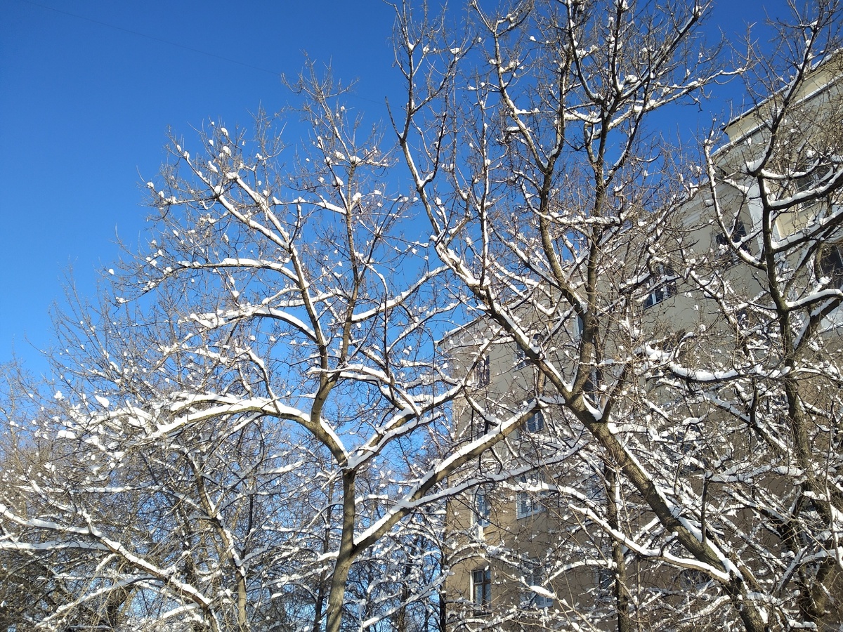 тоже 16 марта, правда, красиво? 