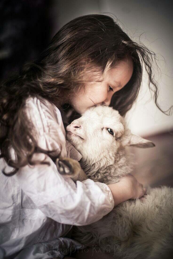 Вот такая любовь. Яндекс картинки.