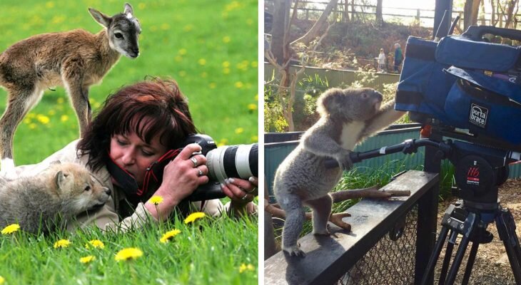 Фотоматериал: yandex.ru