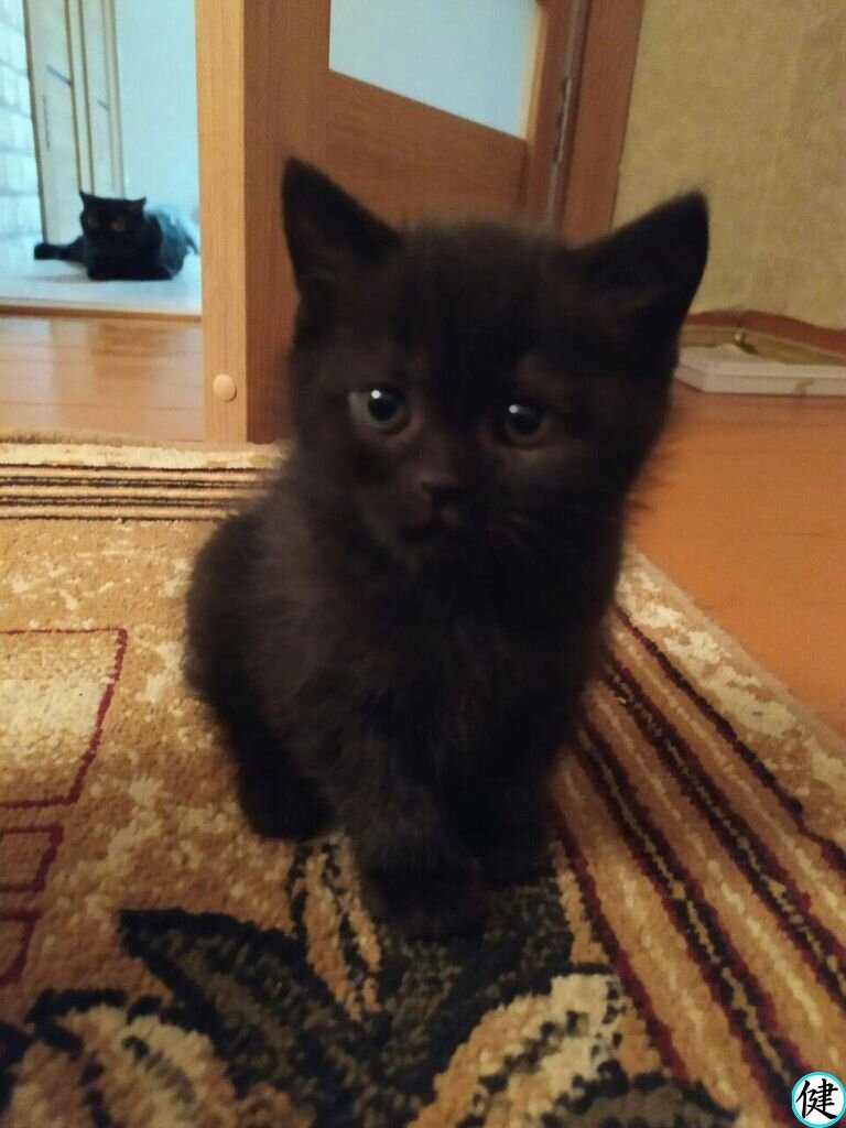 фото из личного архива