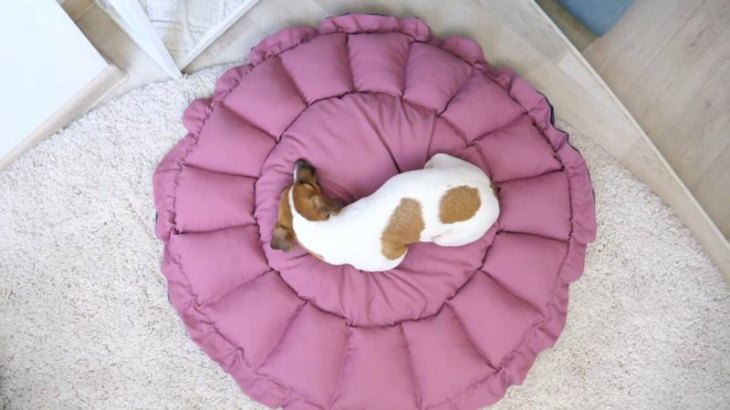 Youtube | Darina Sweet