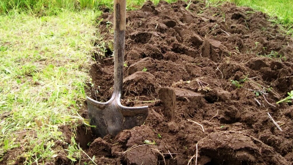 Осенняя перекопка.  Изображение из открытых источников.