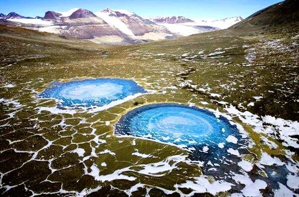 Оазисы на Антарктиде