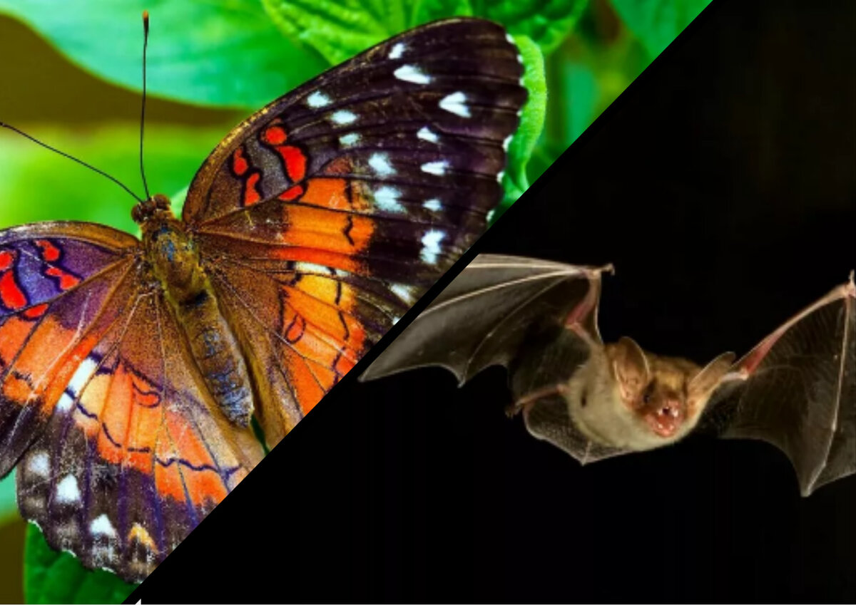 Здравствуйте, друзья. Подписывайтесь на канал, поставьте лайк, пожалуйста.