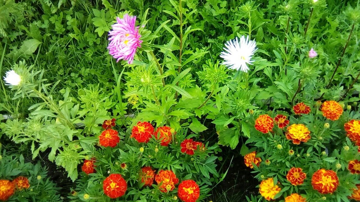 Фото: dzen.yandex.ru