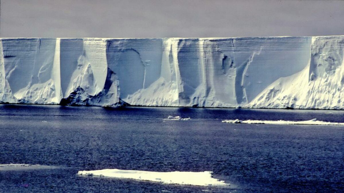 Изображение взято из этого источника - https://fb.ru/post/nature/2020/2/29/188633