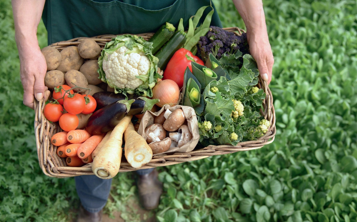 Производство сельскохозяйственной продукции