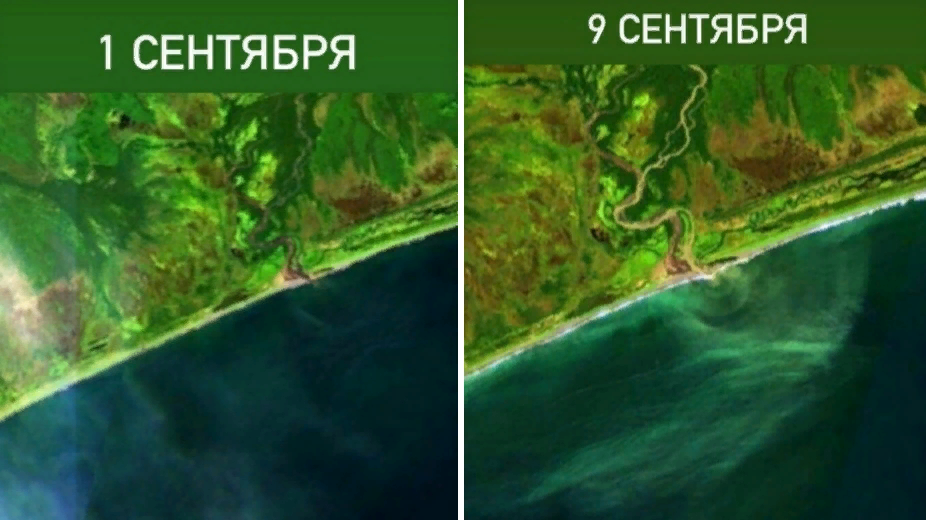 Фото: Greenpeace