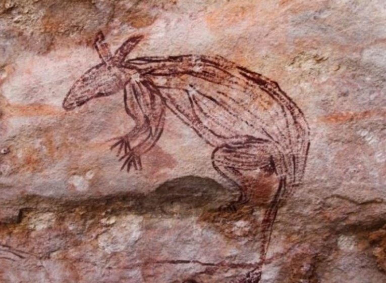 Фото: Professor Paul Tacon, Griffith University 