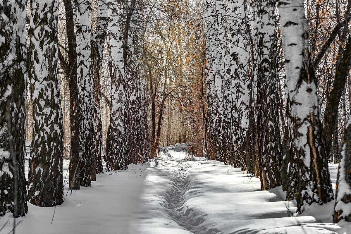 Фото: Владимир Салапонов