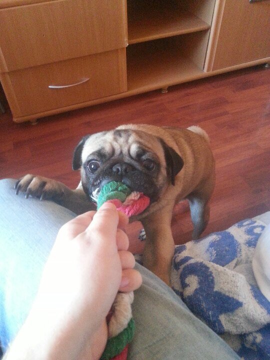 Фото из личного архива