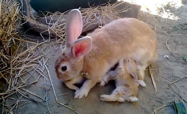 Выбор подходящего помещения