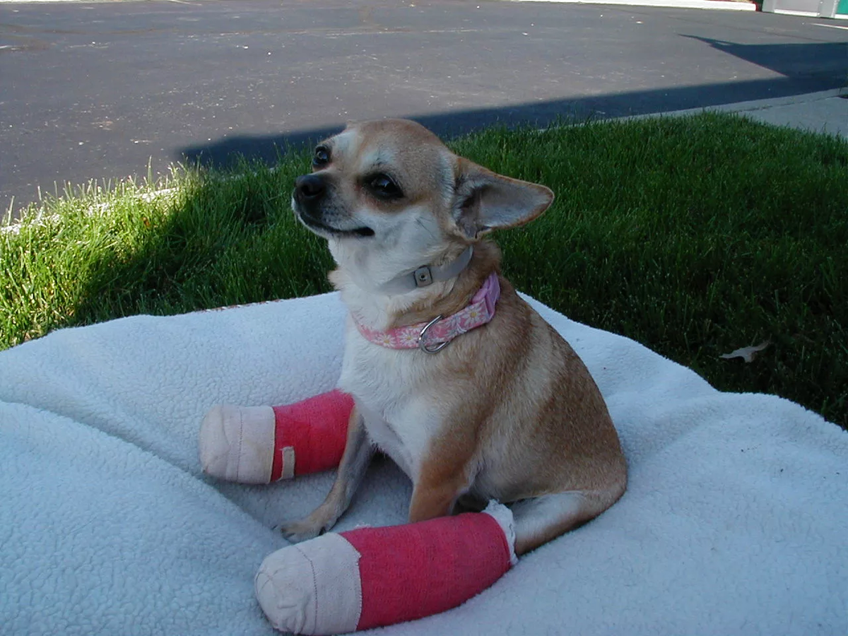 Фото из сети Интернет.