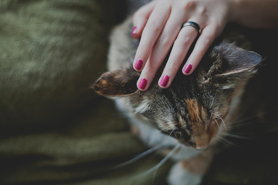 Виртуальная игрушка с приятным характером