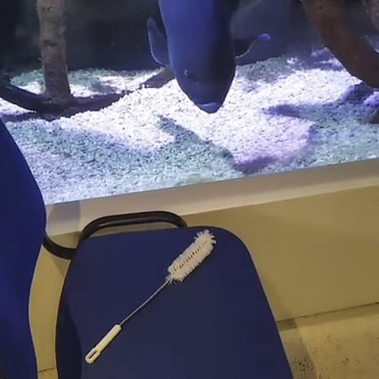 кадр из видео SEA LIFE Helsinki