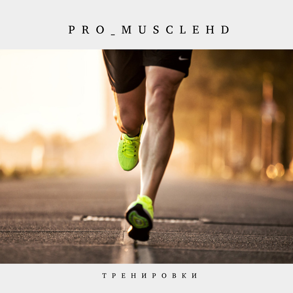 Pro_MuscleHD