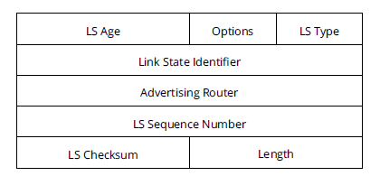 Рис. 2 Заголовок OSPF LSA