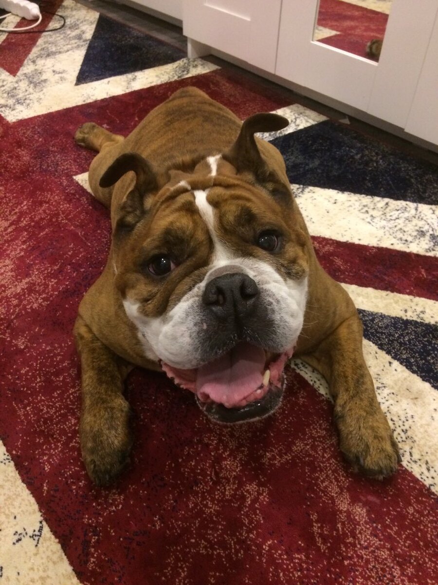 молодой ещё