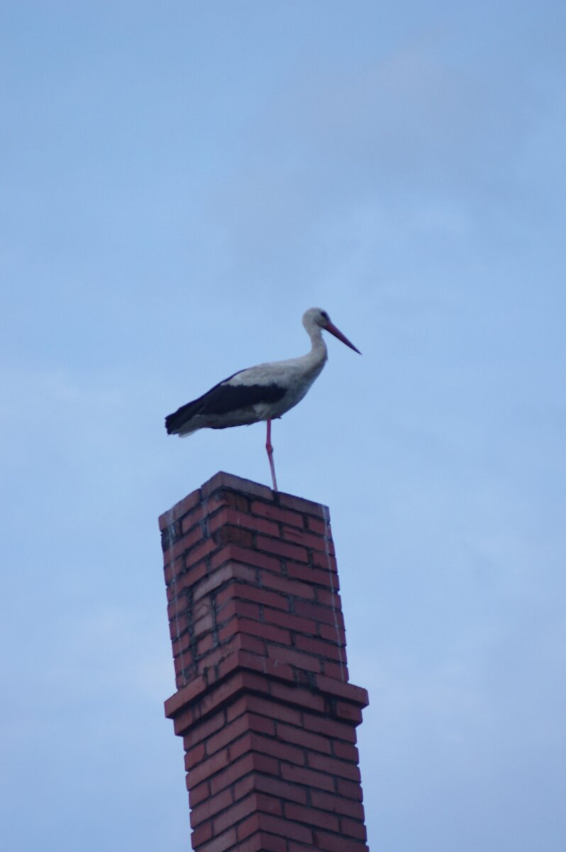 Мне сверху видно всё - ты так и знай!