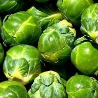 Так как у капусты высокие побеги, то несколько раз ее необходимо будет окучить. Также для обеспечения доступа воздуха к корням необходимо постоянно рыхлить землю.