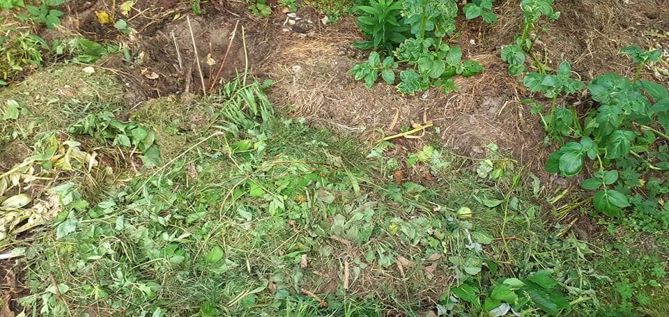 Без дополнительного полива и ускорителей созревания компоста приходится ждать 3-4 года. Но если есть место, то к чему спешить?

