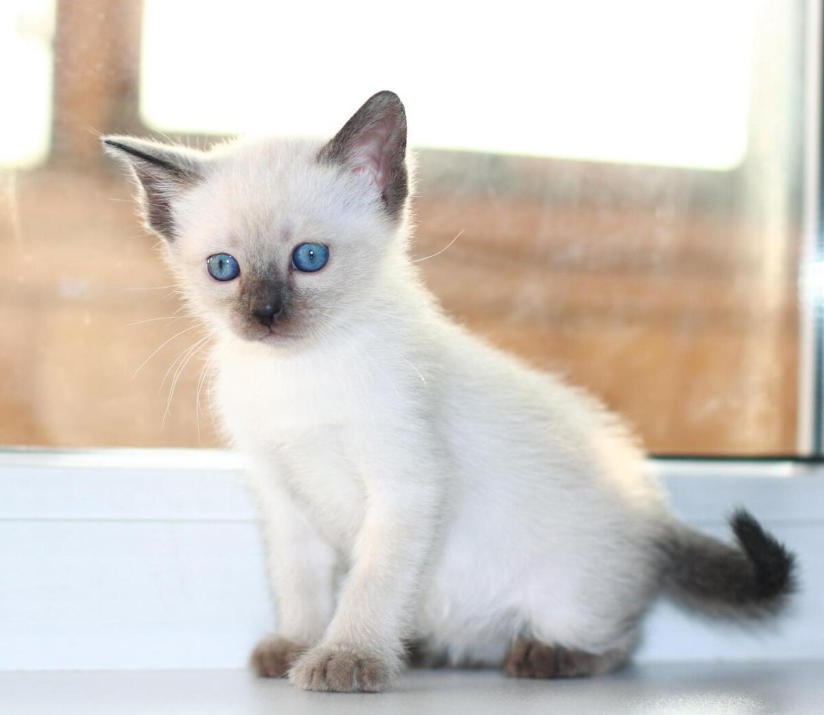 Миленький, но с характером.