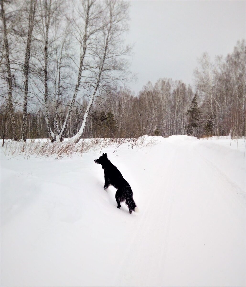 Ну очень интересно!