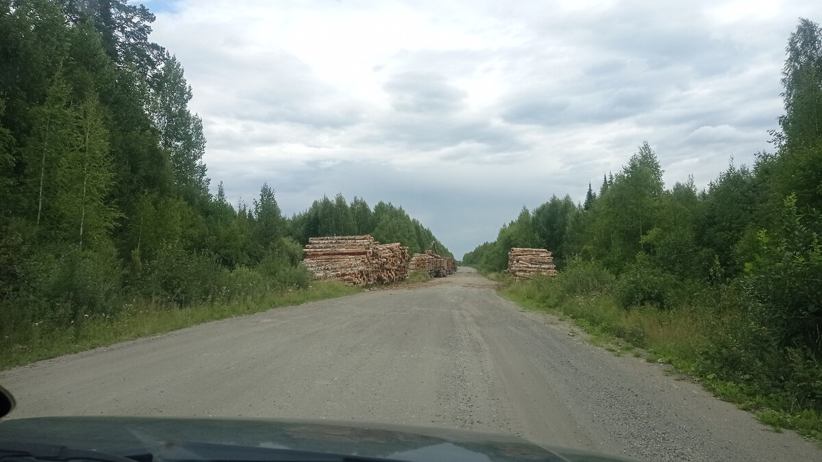 Яндекс-навигатор вёл в обход этого пути: показываю что не так с дорогой  Нижняя Салда - Верхняя Синячиха | Вкусные маршруты: тяга к путешествиям |  Дзен