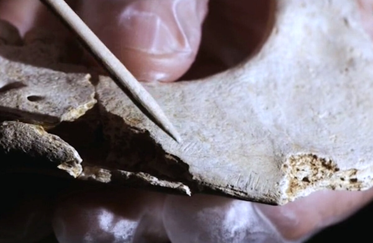 Царапины, нанесённые доисторическим ножом. 