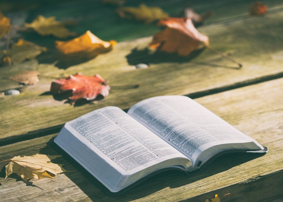 Изображение Bible с сайта Pixabay