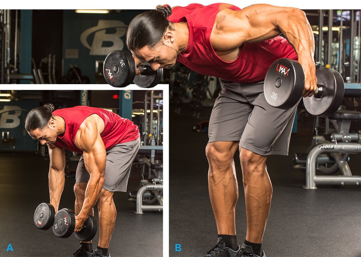 Seated Rear delt Dumbbell Fly