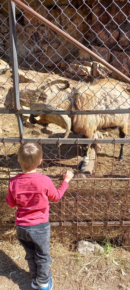 Фото автора. Мини-зоопарк на Медовых водопадах