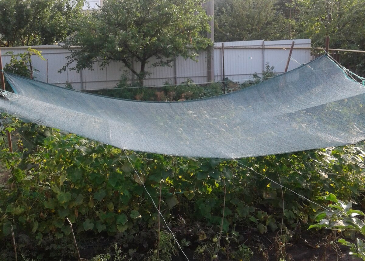 Этот кусок длиной 5 м стоит около 700 рублей