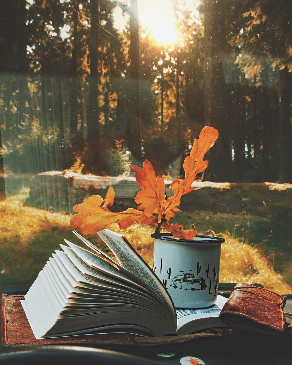 Источник - Яндекс.Картинки