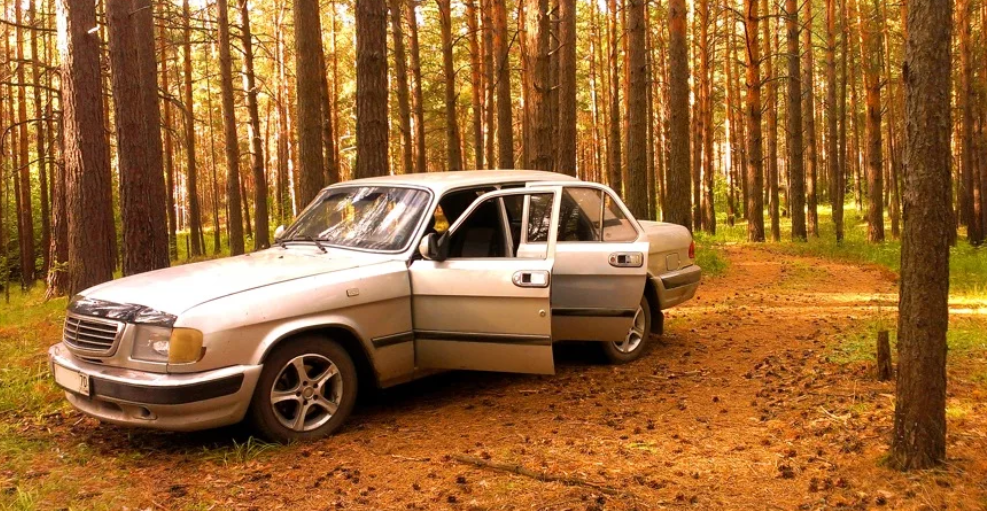 drive2.ru. Фото с Яндекса. Волга.