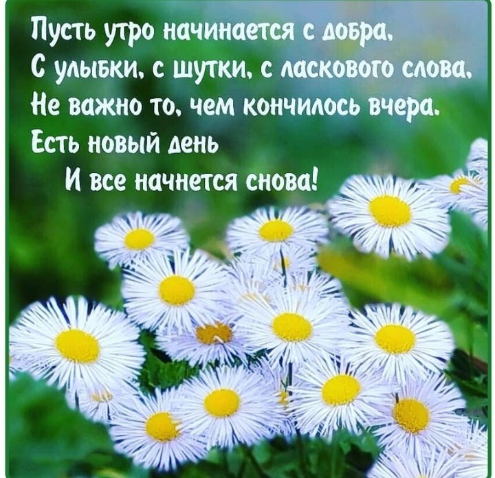 Источник картинки: Pinterest